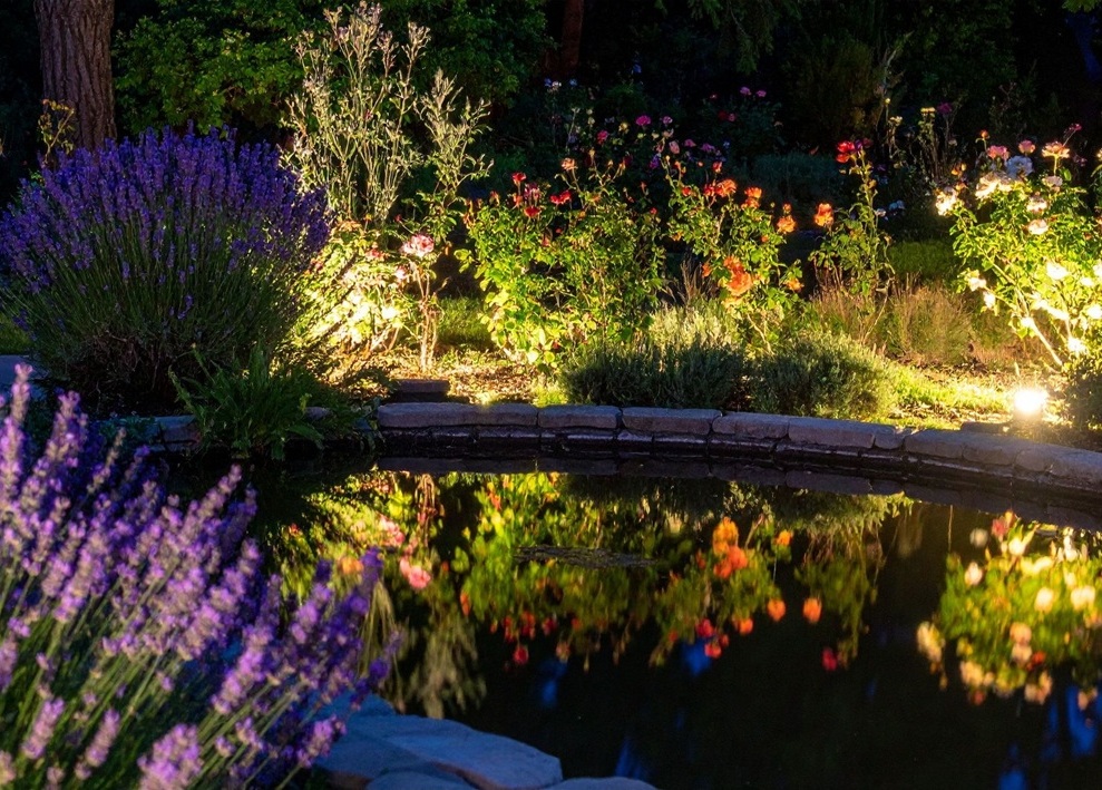 Pondside garden lights highlighting changing landscape lights to improve visibility, beauty, and landscape lighting frequency.